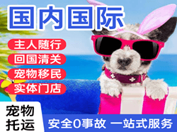 甘孜格萨尔航空货运国际宠物托运 【国